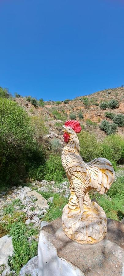 Molino Laroya Villa Luaran gambar